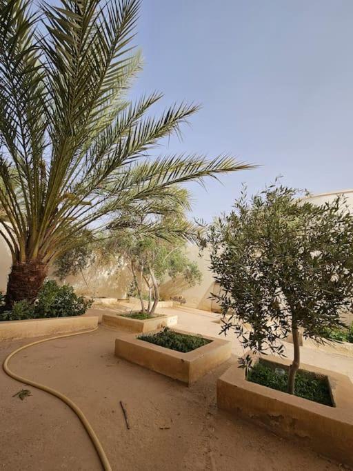 Hadhri Appartement Gobernación de Gobernación de Tozeur Exterior foto